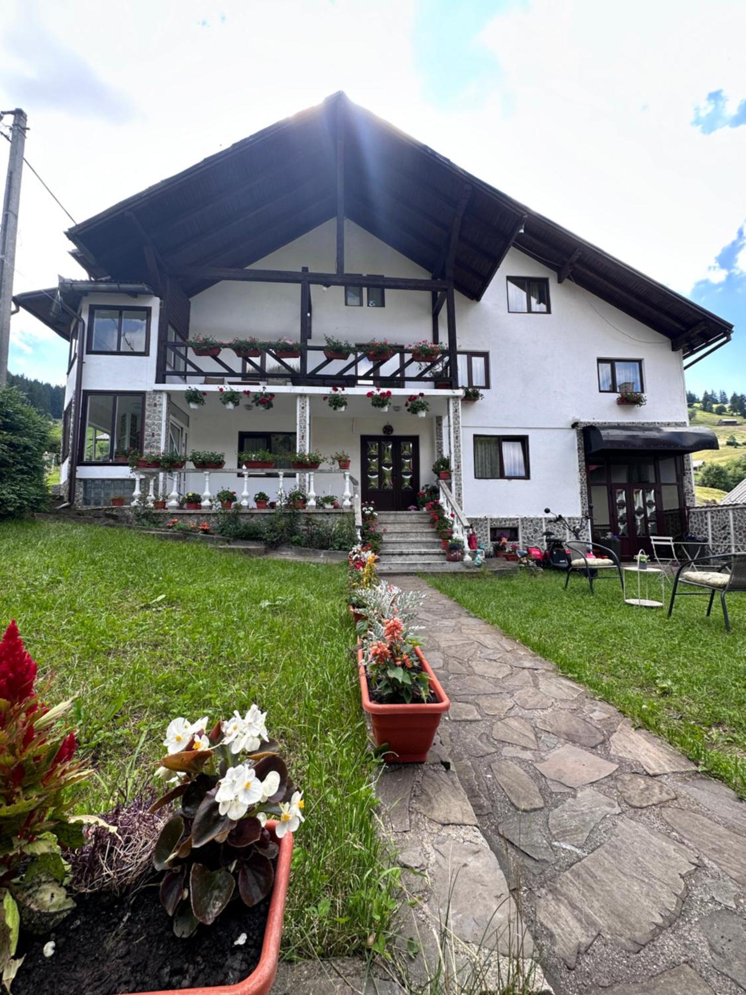Pensiunea Rodica Moeciu De Sus Exteriör bild