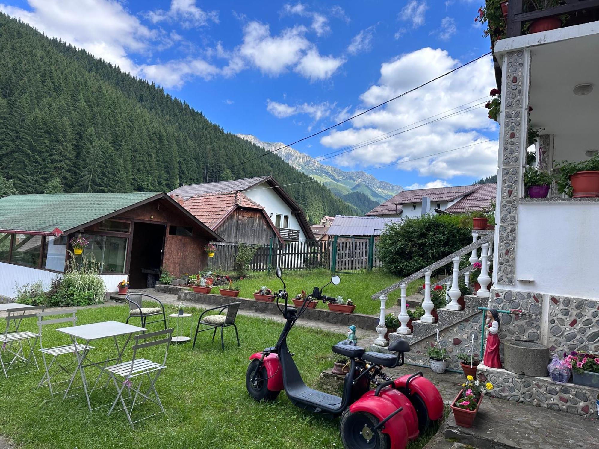 Pensiunea Rodica Moeciu De Sus Exteriör bild