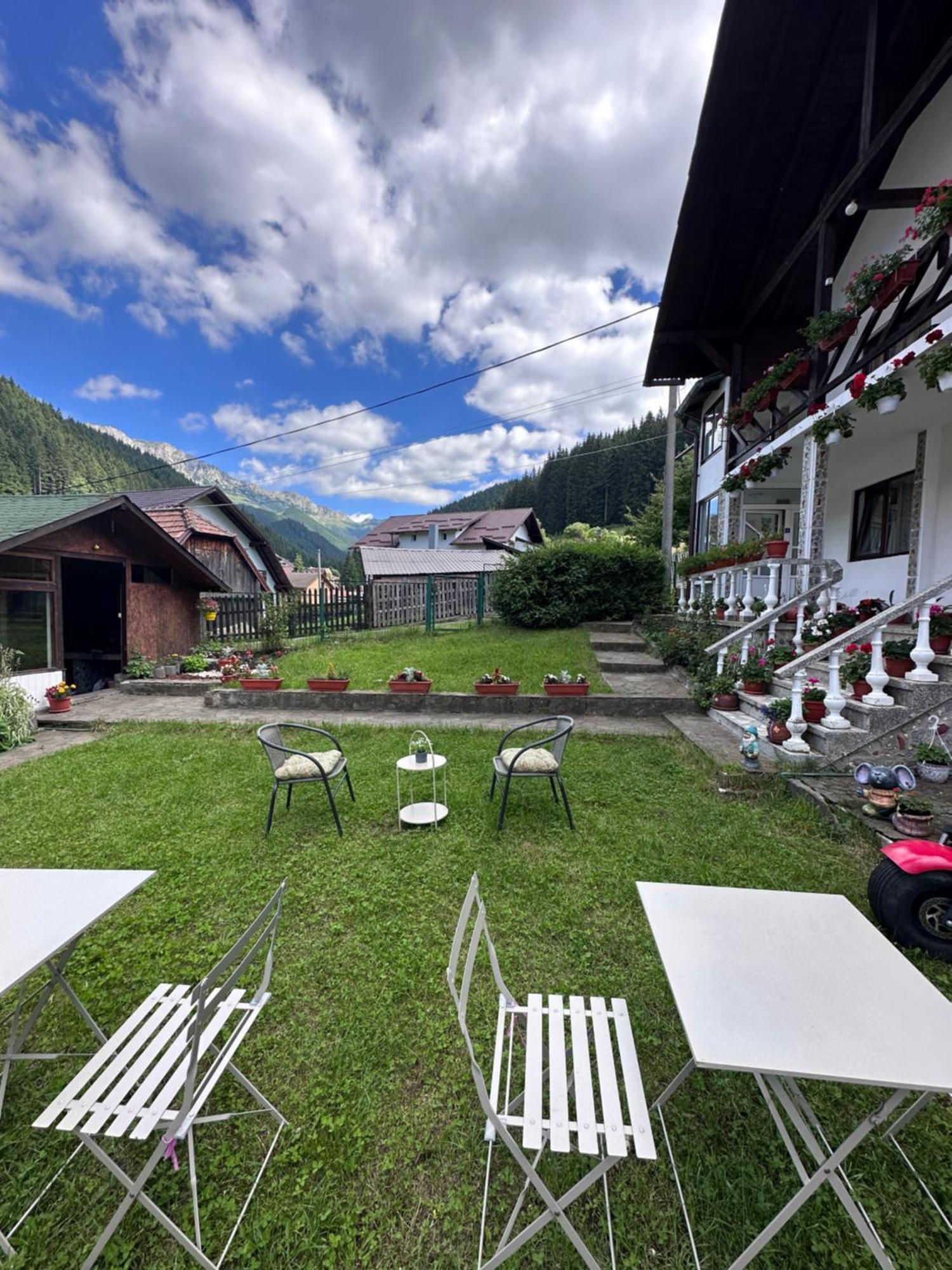 Pensiunea Rodica Moeciu De Sus Exteriör bild